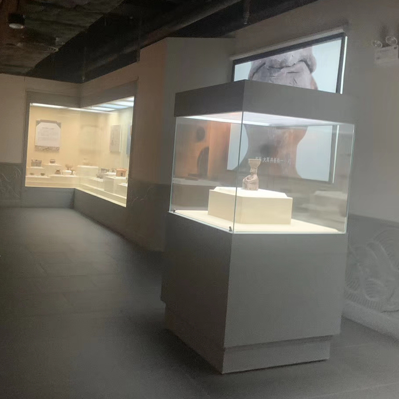 深圳市实创博物馆展柜博物馆低反射恒温恒湿独立柜实创 - A014